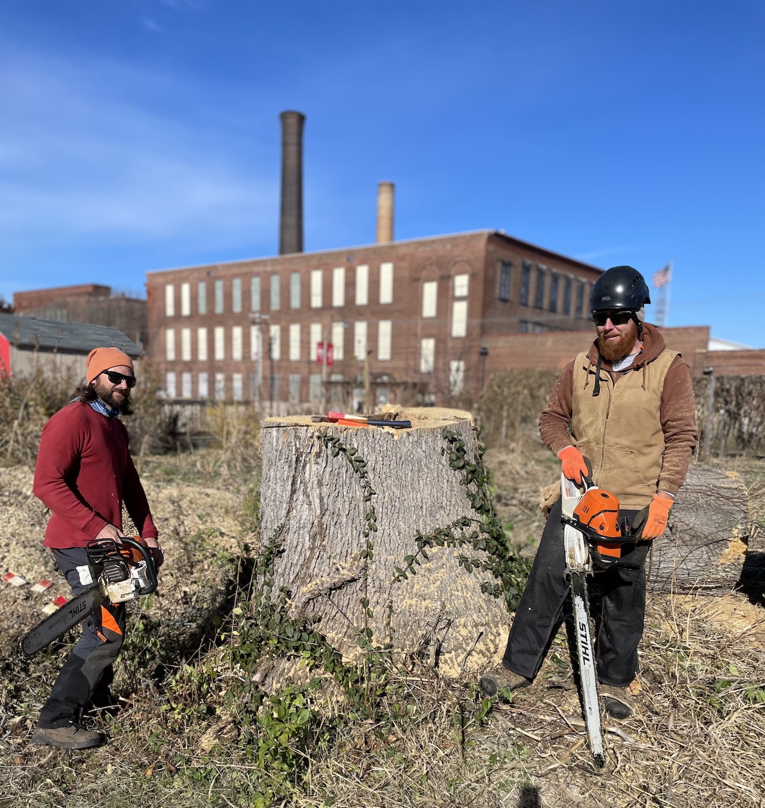 St Louis tree trimming removal services