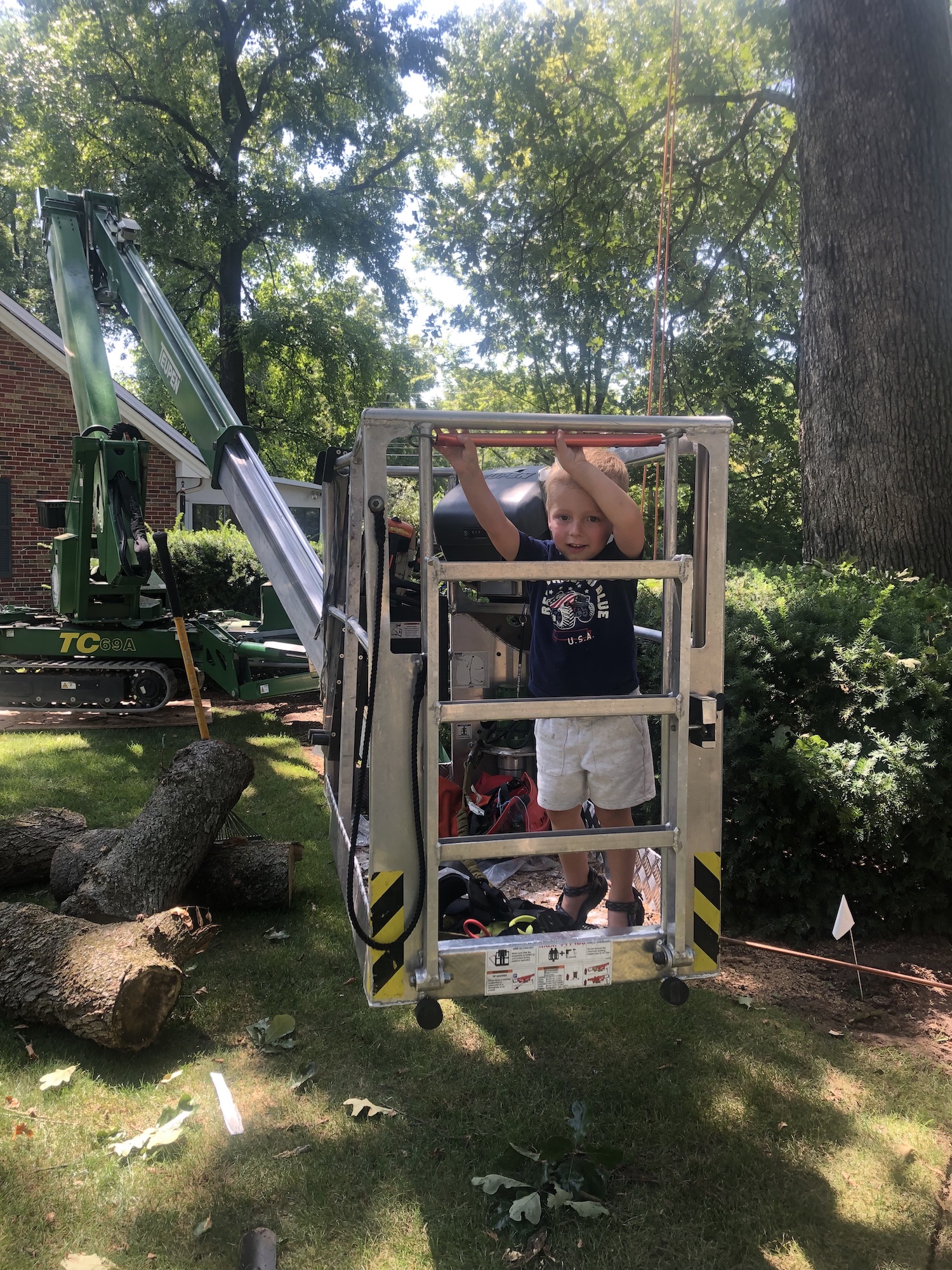 St Louis tree trimming removal services